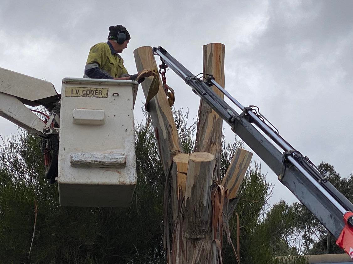 Stump Grinding Victoria